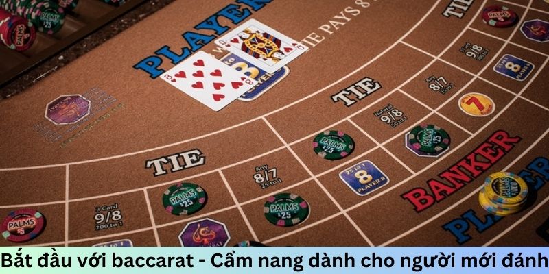 Bắt đầu với Baccarat - Cẩm nang dành cho người mới đánh