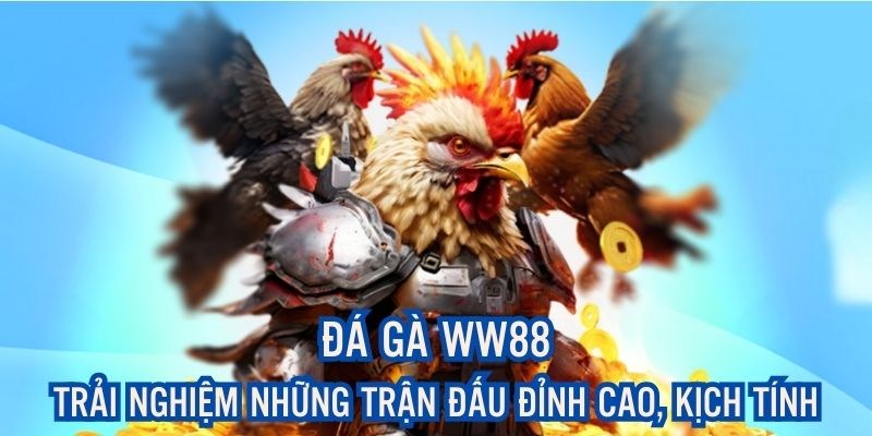 Đá gà WW88 với nhiều hình thức xanh chín